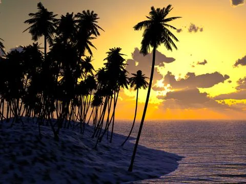 Palms on sand beach Stock Photos