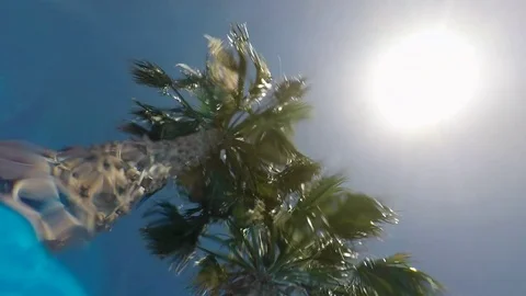 Palms seen from under water Stock Footage 77565865