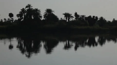 Palms on the shores of the Nile, Camera boat Stock Footage 34993027