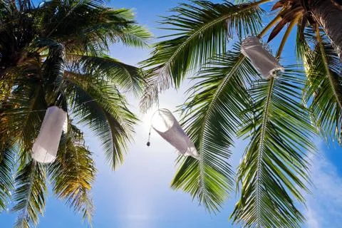 Palms on sky Stock Photos