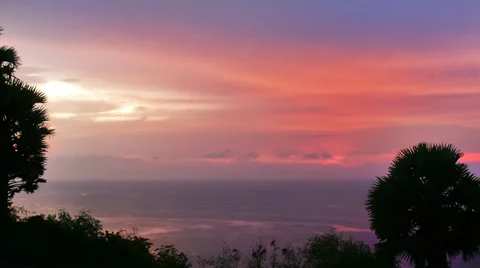 Palms sunset Stock Footage 39892182