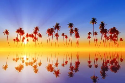 Palms at sunset Stockfoto's