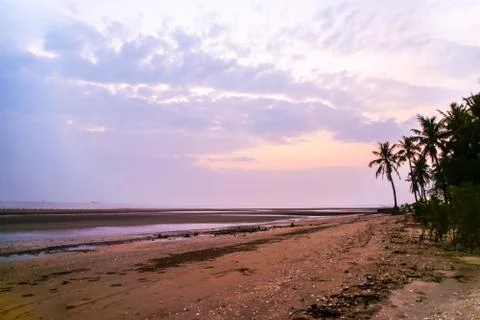 Palms at sunset Stock Photos