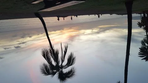 Palms Sunset Stock Photos