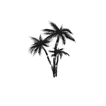 Palms tree isolated on white background. Silhouettes art brush tree palms Stock Illustration