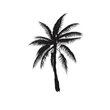 Palms tree isolated on white background. Silhouettes art brush tree palms Stock Illustration