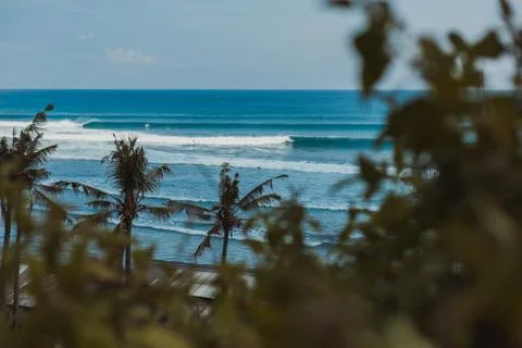 A palms trees in front of a surf spot Stock Photos