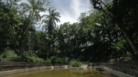 Palms Trees Tropical Lagoon Background 스톡 동영상 62260798