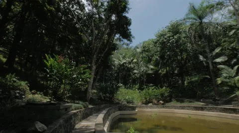 Palms Trees Tropical Lagoon Background Pan Video stock 62261437