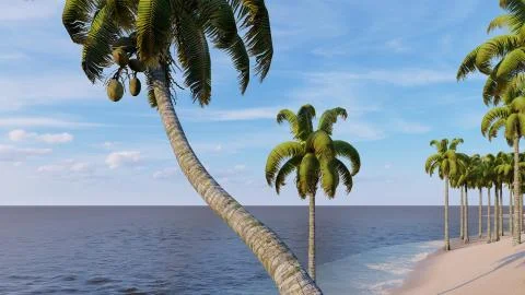 Palms on the tropical beach 3d rendering Stock Illustration