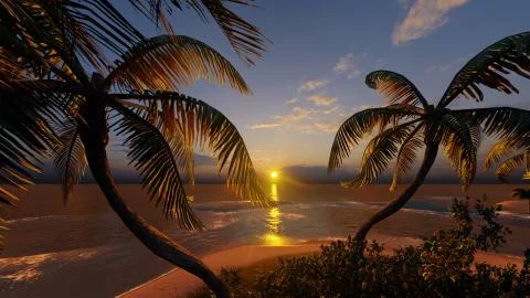 Palms on the tropical beach 3d rendering Illustrazione stock