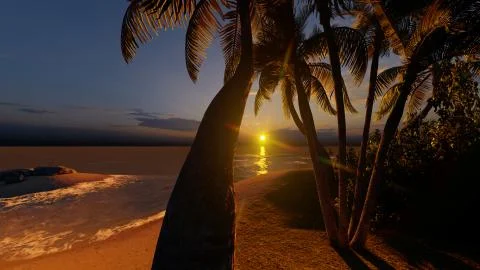 Palms on the tropical beach 3d rendering Stock Illustration