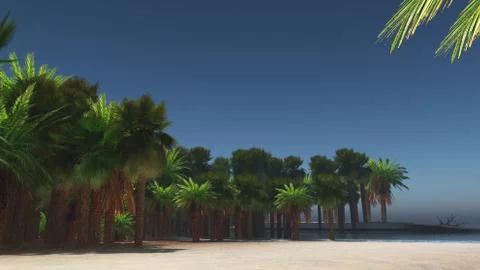 Palms on the tropical beach 3d rendering 스톡 일러스트