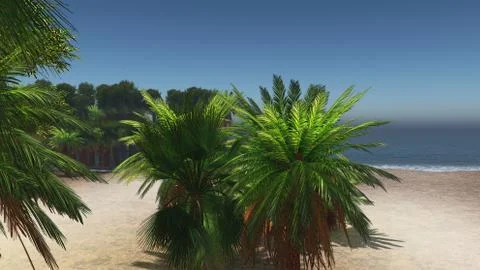 Palms on the tropical beach 3d rendering 스톡 일러스트