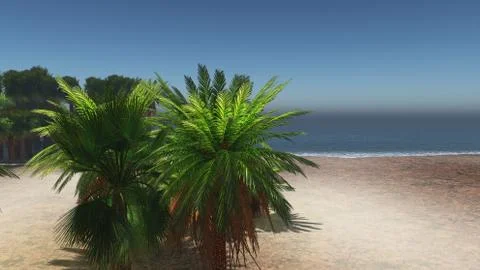Palms on the tropical beach 3d rendering Ilustração Stock