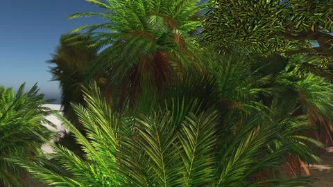 Palms on the tropical beach 3d rendering Stock Illustration
