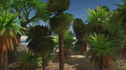Palms on the tropical beach 3d rendering Stock-Illustration