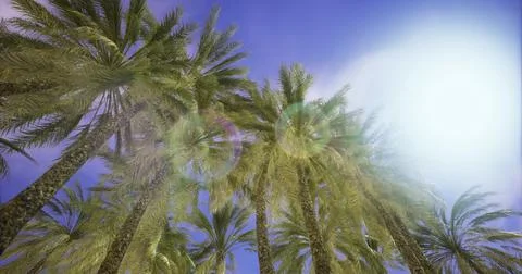 Palms under bright blue sky capture the essence of a tropical paradise Stock Illustration
