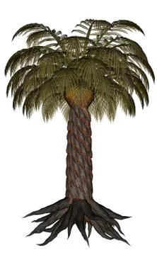 Palmtree, palm tree - 3D render Stock Illustration