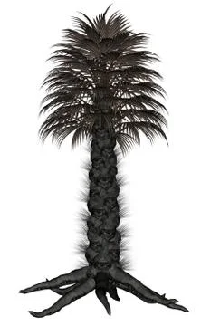 Palmtree, palm tree - 3D render Stock Illustration