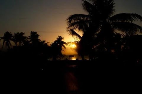 Palmtrees and beach Stock Photos
