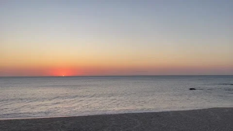 Palmtrees at the beach Stock Footage 236267175