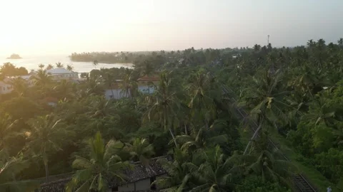 Palmtrees in sunset Stock Footage 274891705