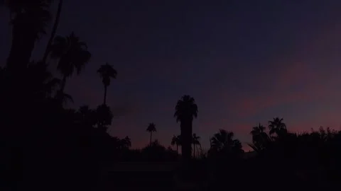 PALMTREES SUNSET Stock Footage 306622240