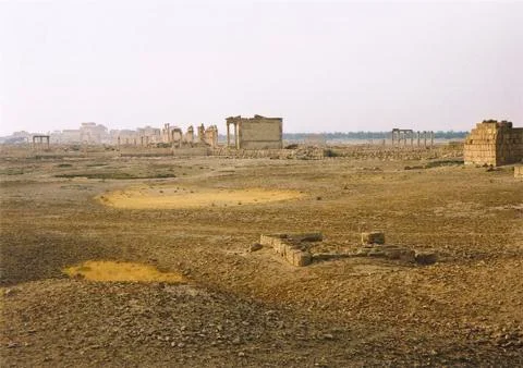Palmyra Stock Photos