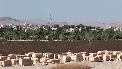 Palmyra Syria The Temple of Bel from inside Backyard Oasis Stock Footage 73606654