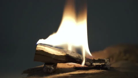 Palo santo Video stock 146621419