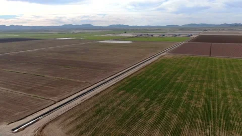 Palo Verde fields fallowed Stock-Footage 221811730