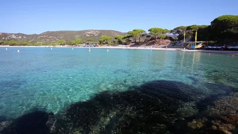 Palomgabbia beach with red rocks, pine trees and azure clear water, Corsica, Fra Vídeo Stock 73850109