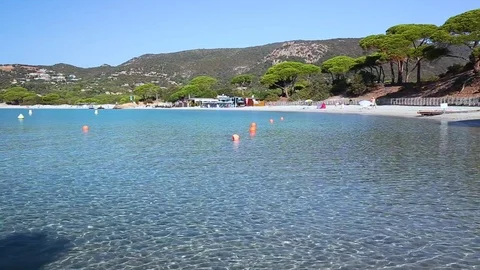 Palomgabbia beach with red rocks, pine trees and azure clear water, Corsica. Stock-Footage 73850141