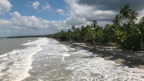 Palomino Beach Stock Footage 296771158