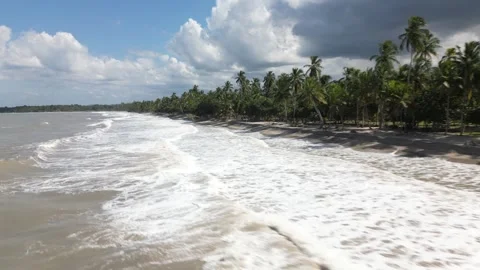 Palomino Beach Vídeo Stock 296773560