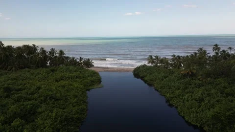 Palomino Beach 動画素材 296775405