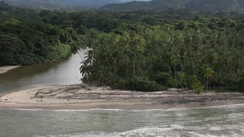 Palomino Beach Stock Footage 296775580