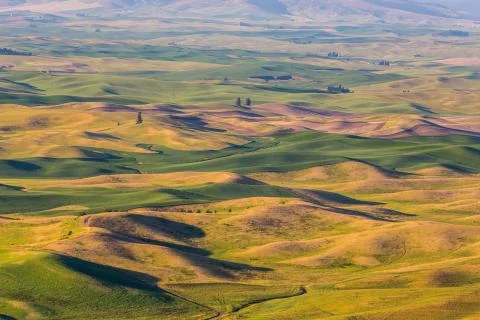 Palouse Fields Stock Photos