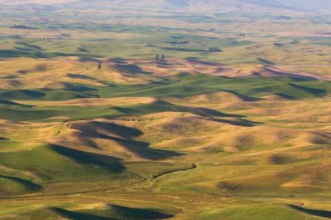 Palouse Fields Stock Photos