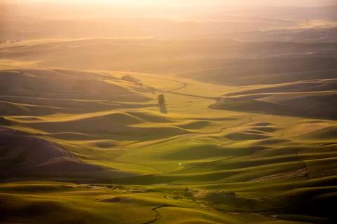 Palouse Fields Stock Photos
