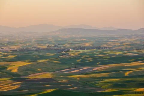 Palouse Fields Stock Photos
