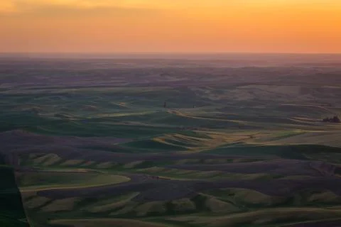 Palouse Fields Stock Photos