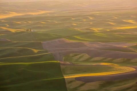 Palouse Fields Stock Photos