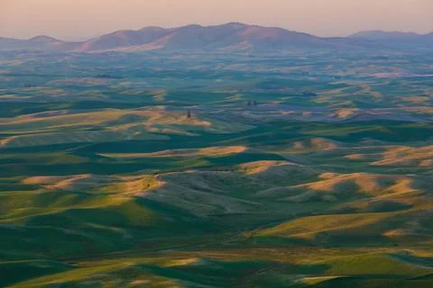 Palouse Fields Stock Photos
