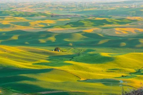 Palouse Fields Stock Photos