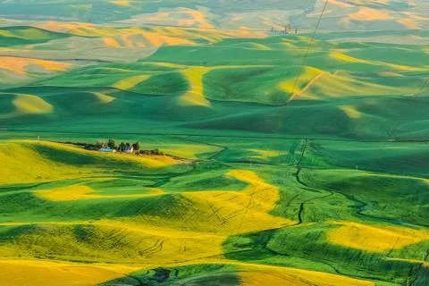 Palouse Fields Stock Photos