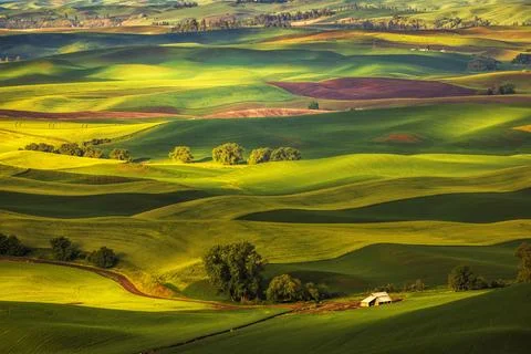 Palouse Fields Stock Photos