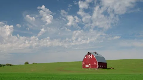 Palouse Harvest: Red Barn &amp; Rolling Hills Stock-Footage 339274546