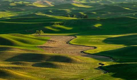 Palouse 库存照片